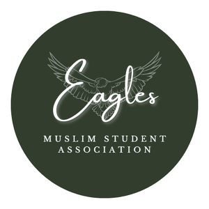 Fundraising Page: Eagles MSA